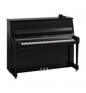 Yamaha B20 TransAcoustic